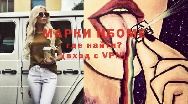 сатива Новодвинск